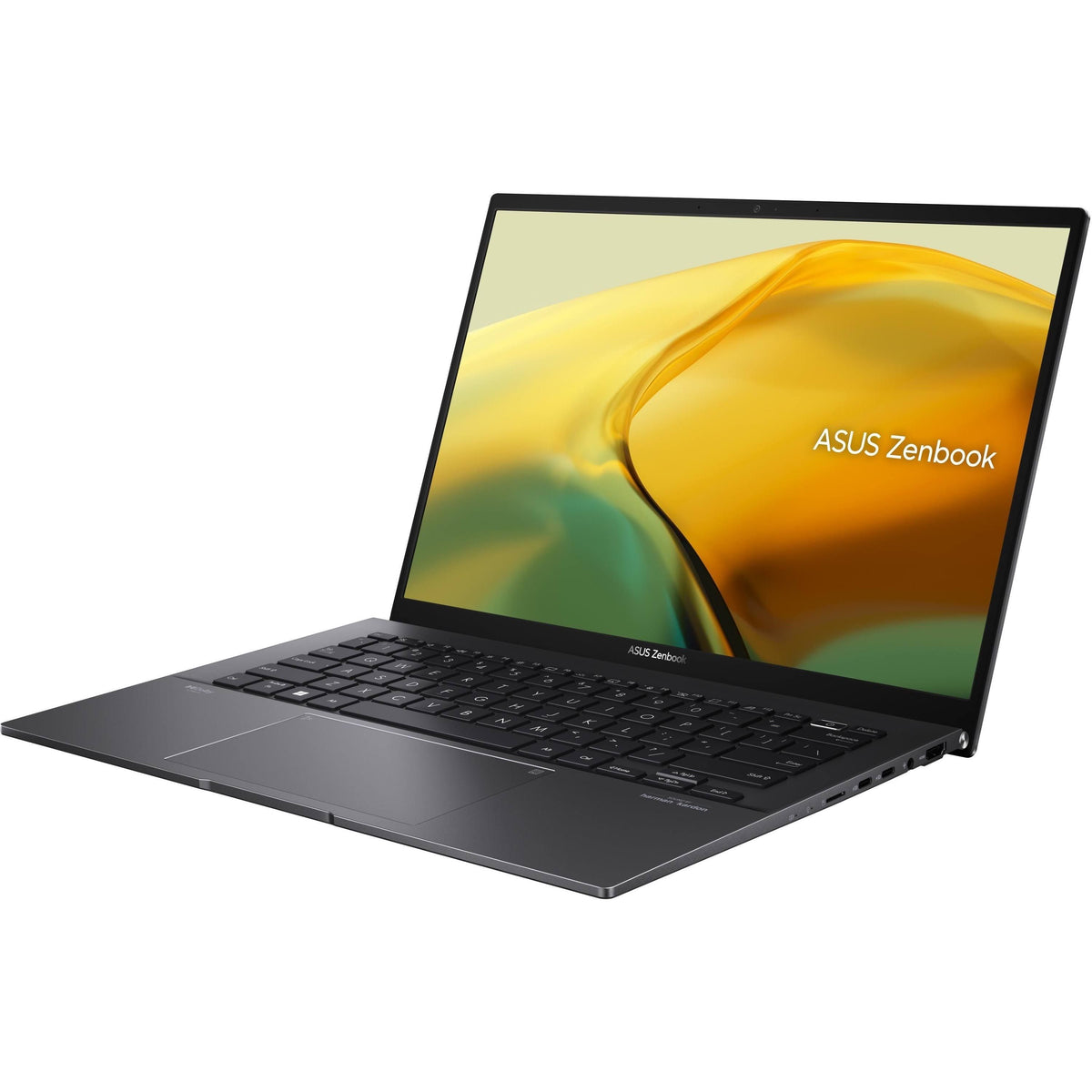 Asus Zenbook 14 Oled AMD Ryzen(Gris)